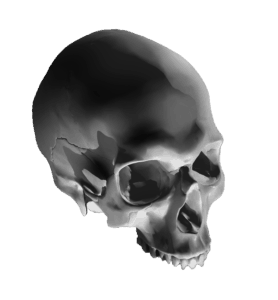 skull tattoo