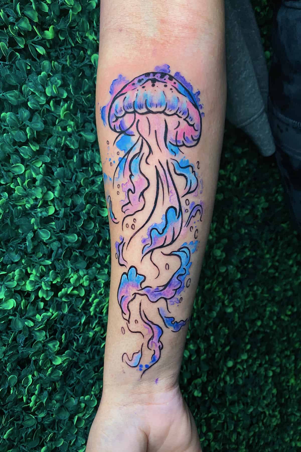 watercolor jellyfish
