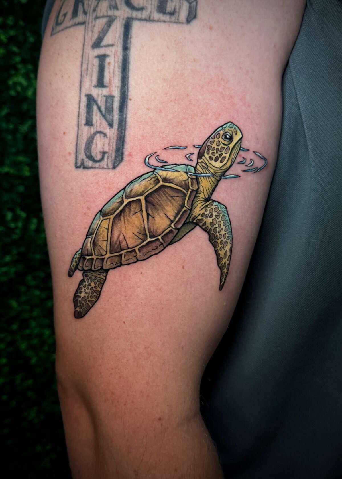 Sea Turtle color realism